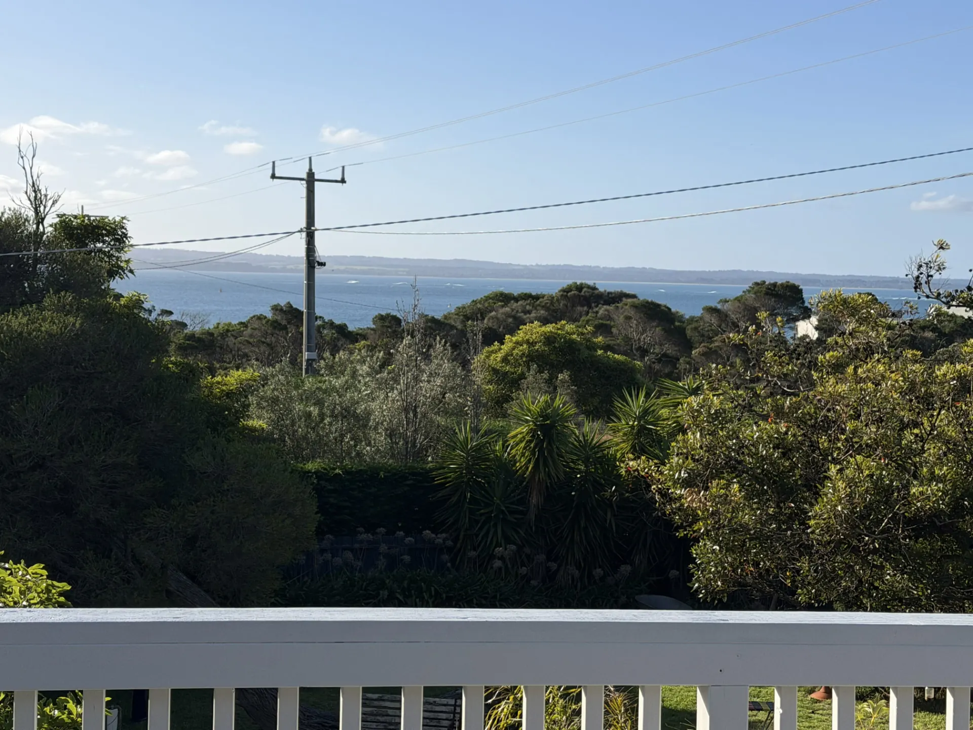View from the deck over a white railing and dense coastal trees towards the bay and distant shoreline