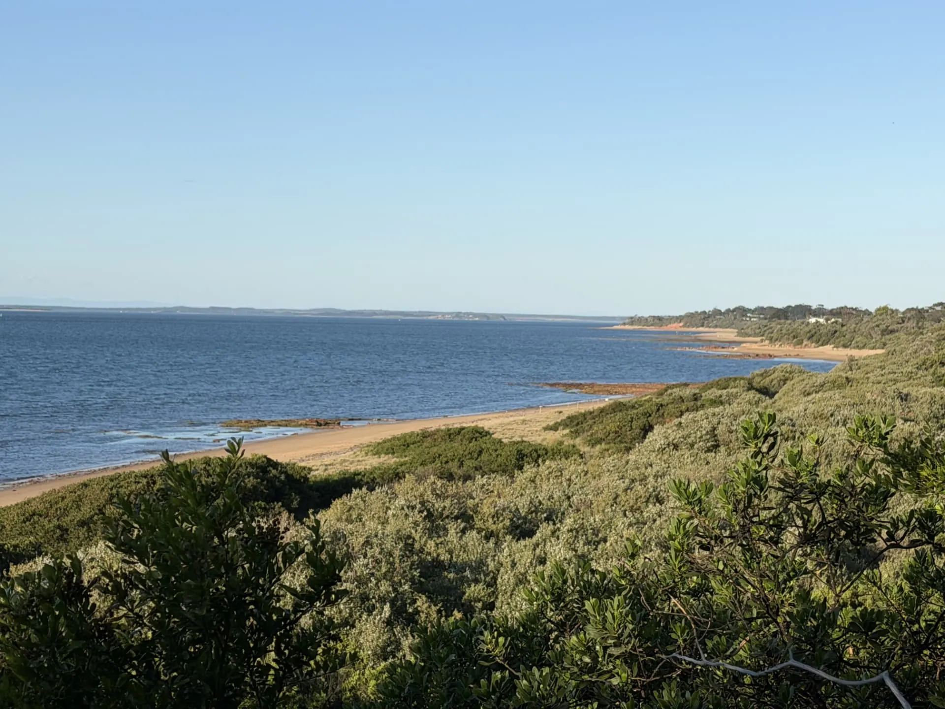 Sandy beach curving along calm blue water, seen from coastal scrub above the shoreline