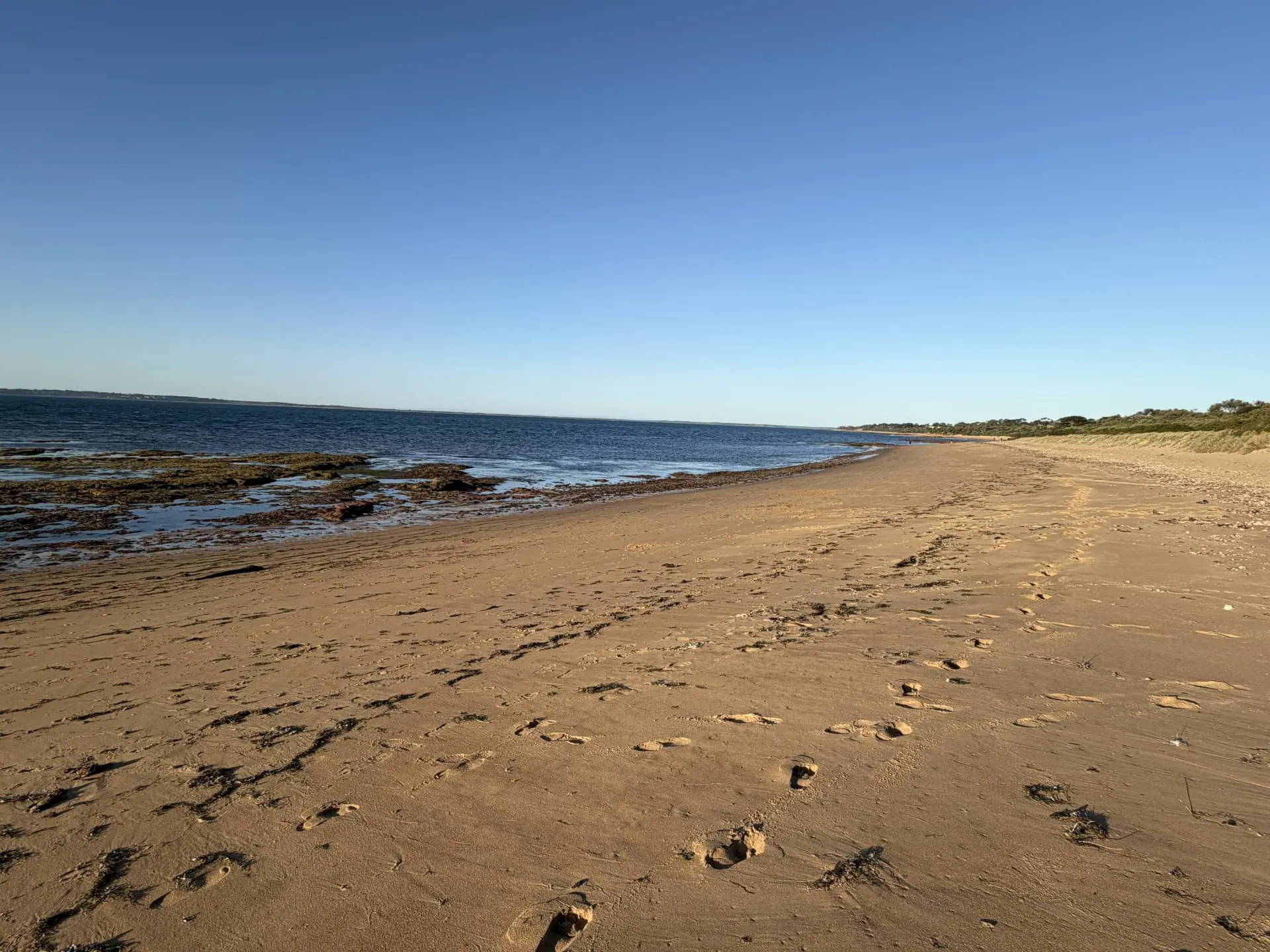 Footprints across a wide sandy beach beside low rock shelves and calm water under a clear sky